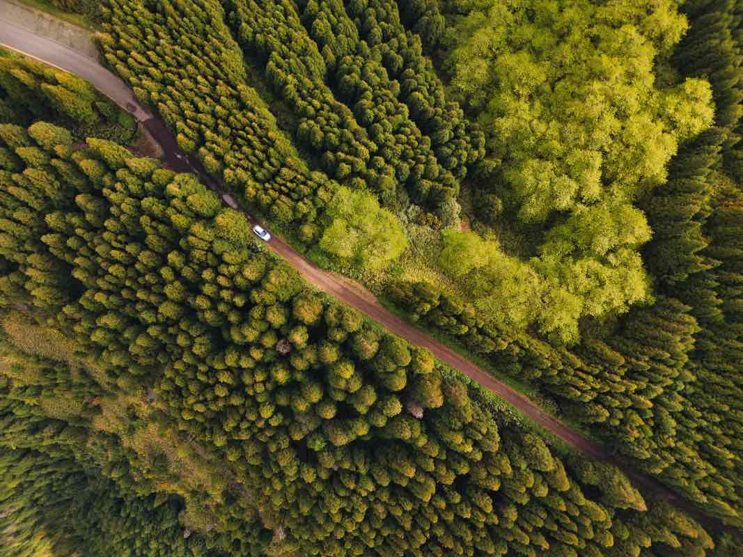 The Art of Aerial Composition